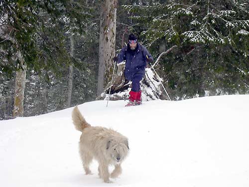cliquez ici pour fermer la fen&ecirc;tre