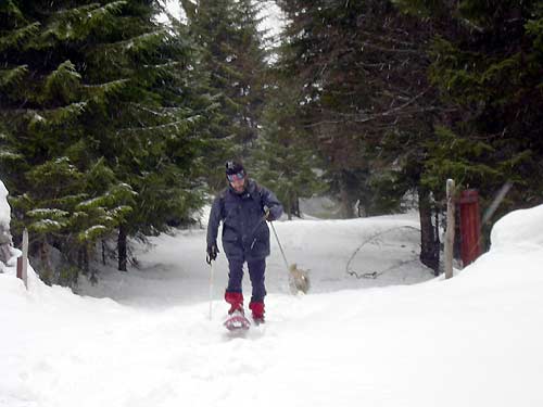 cliquez ici pour fermer la fen&ecirc;tre
