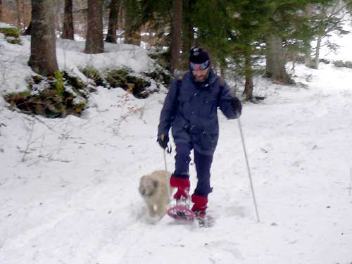 cliquez ici pour fermer la fen&ecirc;tre