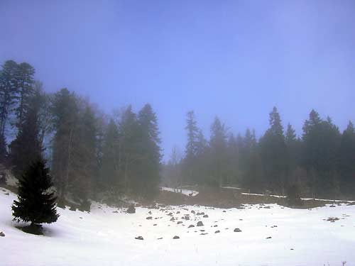 cliquez ici pour fermer la fen&ecirc;tre