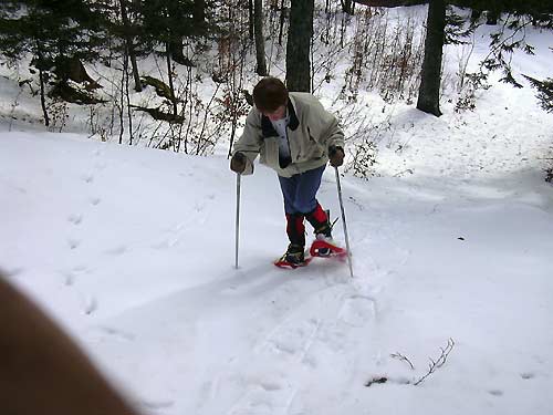 cliquez ici pour fermer la fen&ecirc;tre