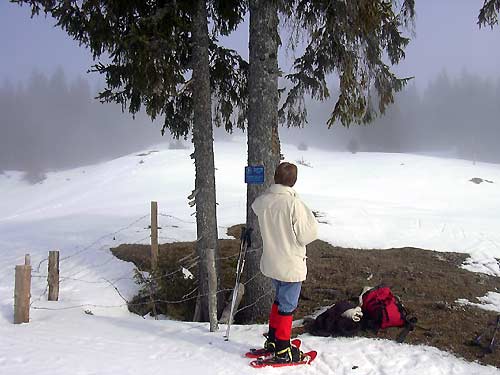 cliquez ici pour fermer la fen&ecirc;tre