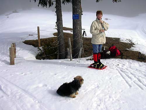 cliquez ici pour fermer la fen&ecirc;tre