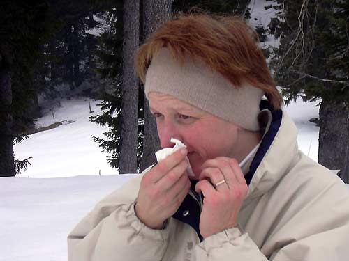 cliquez ici pour fermer la fen&ecirc;tre