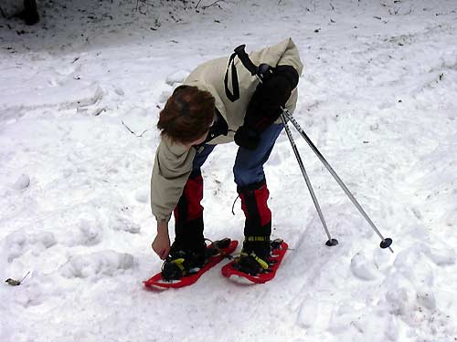 cliquez ici pour fermer la fen&ecirc;tre