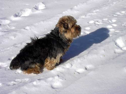 cliquez ici pour fermer la fen&ecirc;tre