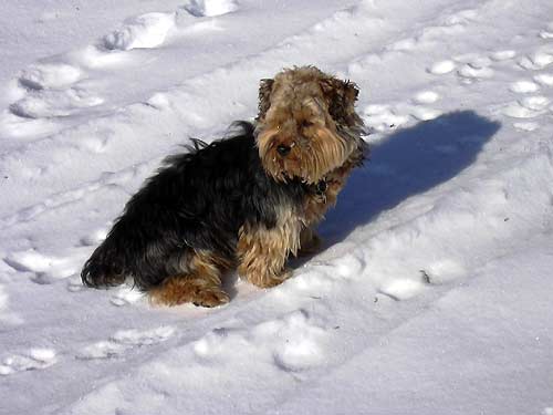 cliquez ici pour fermer la fen&ecirc;tre
