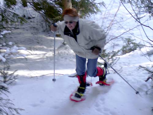 cliquez ici pour fermer la fen&ecirc;tre