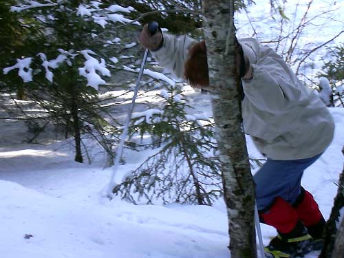 cliquez ici pour fermer la fen&ecirc;tre