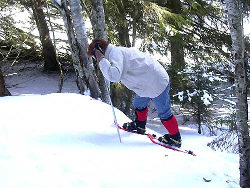 cliquez ici pour fermer la fen&ecirc;tre