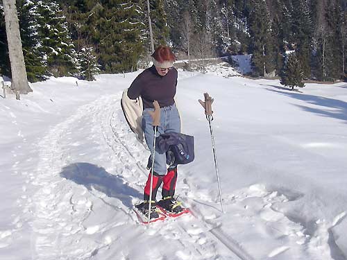 cliquez ici pour fermer la fen&ecirc;tre