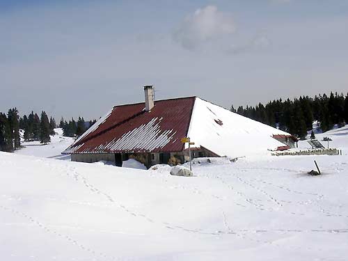 cliquez ici pour fermer la fen&ecirc;tre
