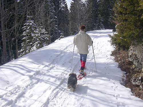 cliquez ici pour fermer la fen&ecirc;tre