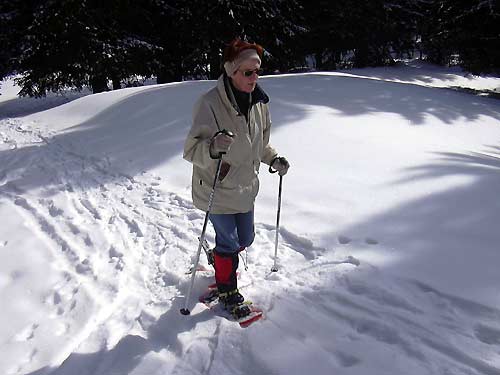 cliquez ici pour fermer la fen&ecirc;tre