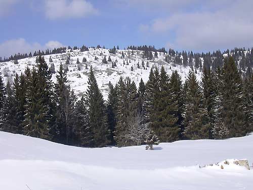 cliquez ici pour fermer la fen&ecirc;tre