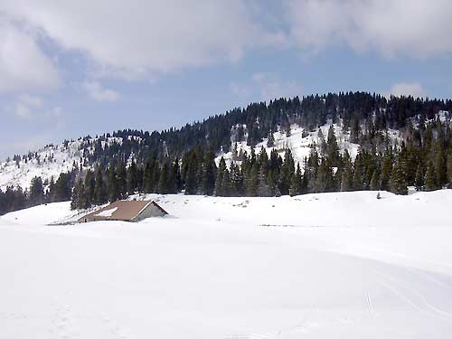 cliquez ici pour fermer la fen&ecirc;tre