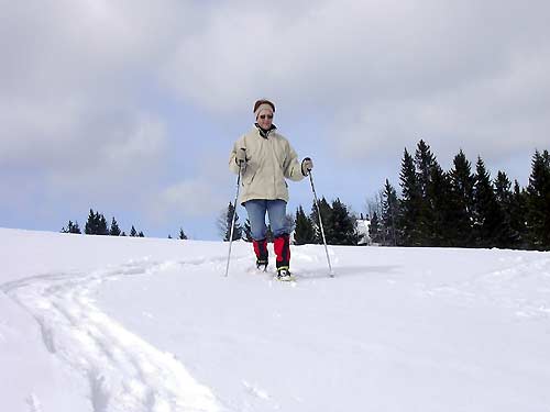 cliquez ici pour fermer la fen&ecirc;tre