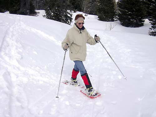 cliquez ici pour fermer la fen&ecirc;tre