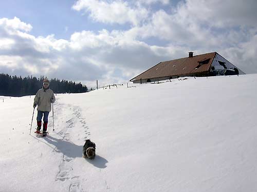 cliquez ici pour fermer la fen&ecirc;tre