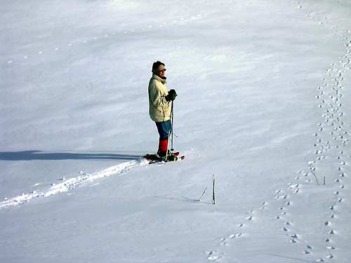 cliquez ici pour fermer la fen&ecirc;tre