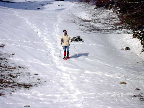 cliquez ici pour fermer la fen&ecirc;tre