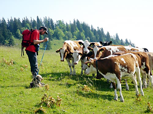 cliquez ici pour fermer la fen&ecirc;tre