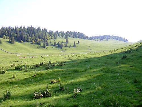 cliquez ici pour fermer la fen&ecirc;tre