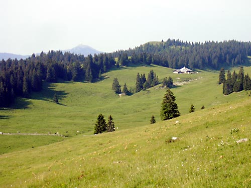 cliquez ici pour fermer la fen&ecirc;tre