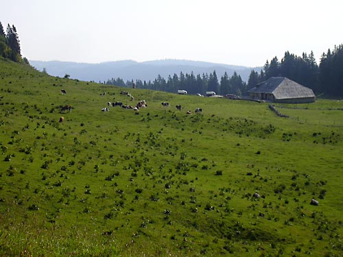 cliquez ici pour fermer la fen&ecirc;tre