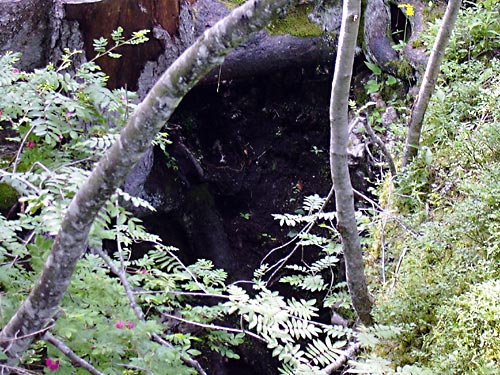 cliquez ici pour fermer la fen&ecirc;tre