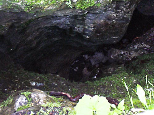 cliquez ici pour fermer la fen&ecirc;tre