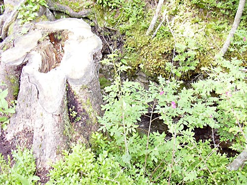 cliquez ici pour fermer la fen&ecirc;tre