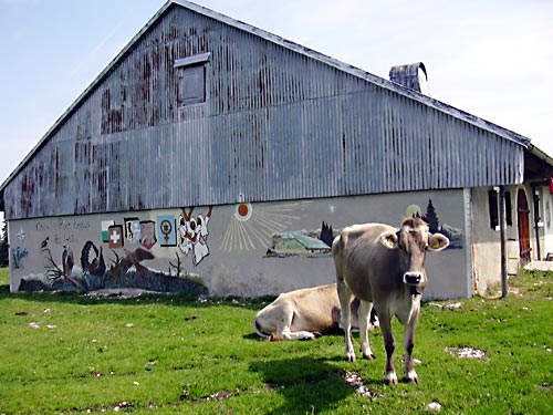cliquez ici pour fermer la fen&ecirc;tre