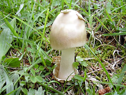 cliquez ici pour fermer la fen&ecirc;tre