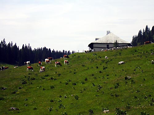 cliquez ici pour fermer la fen&ecirc;tre