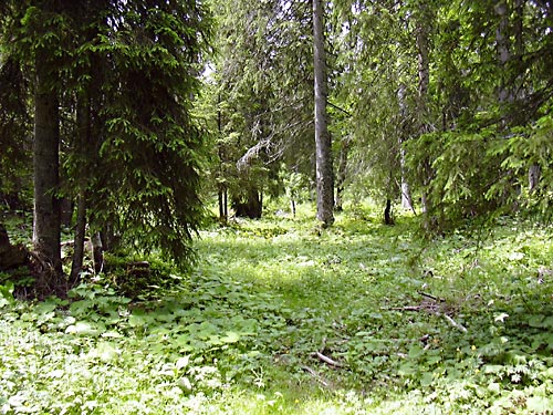 cliquez ici pour fermer la fen&ecirc;tre