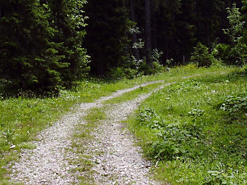 cliquez ici pour fermer la fen&ecirc;tre