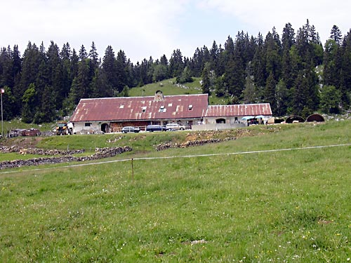 cliquez ici pour fermer la fen&ecirc;tre