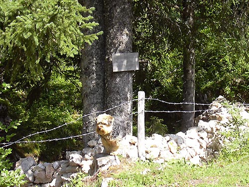 cliquez ici pour fermer la fen&ecirc;tre