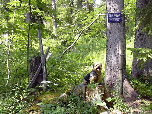 cliquez ici pour fermer la fen&ecirc;tre
