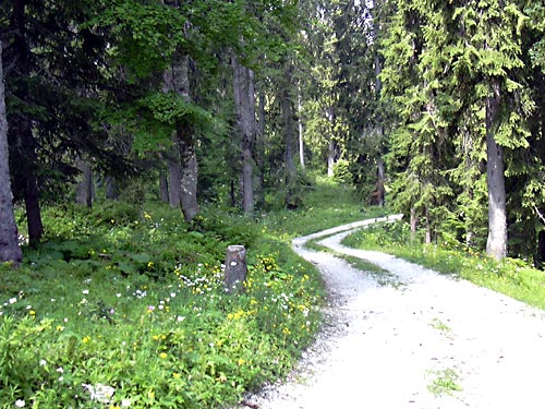 cliquez ici pour fermer la fen&ecirc;tre