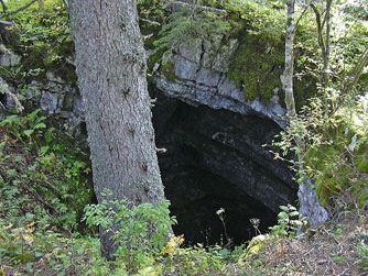 Cliquer pour agrandir