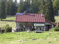 Maison/chalet typique des Loges  ( **** )