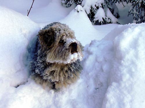 cliquez ici pour fermer la fen&ecirc;tre
