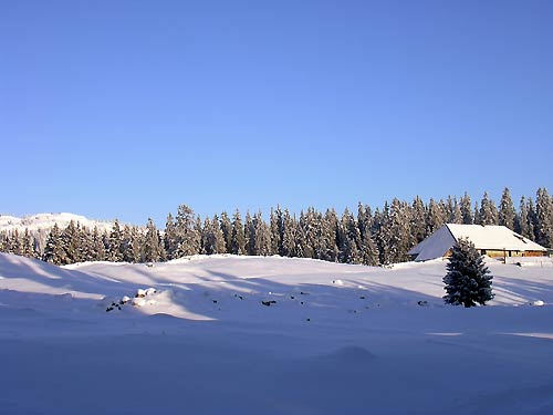 cliquez ici pour fermer la fen&ecirc;tre