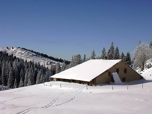 cliquez ici pour fermer la fen&ecirc;tre