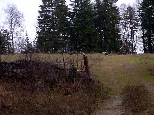 cliquez ici pour fermer la fen&ecirc;tre