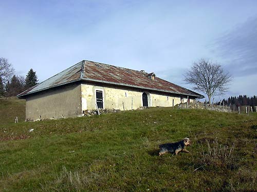 cliquez ici pour fermer la fen&ecirc;tre