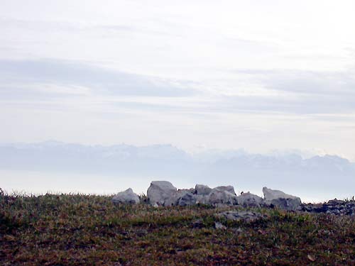 cliquez ici pour fermer la fen&ecirc;tre