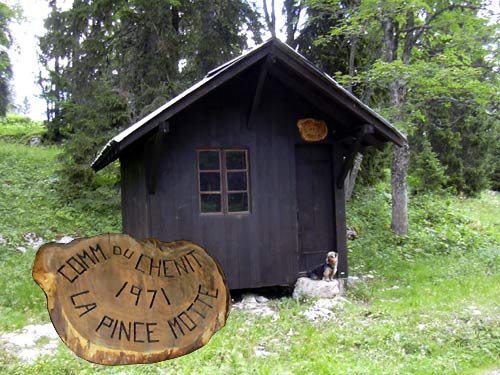 Cliquez ici pour voir la carte